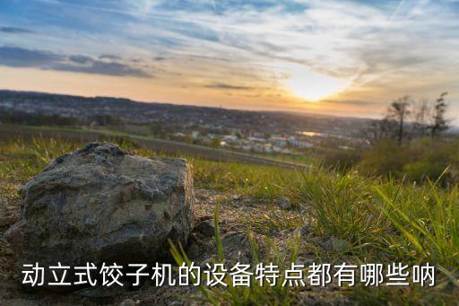 動(dòng)立式餃子機(jī)的設(shè)備特點(diǎn)都有哪些吶