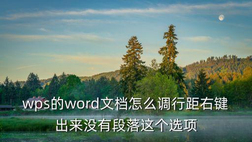 wps的word文檔怎么調(diào)行距右鍵出來沒有段落這個(gè)選項(xiàng)