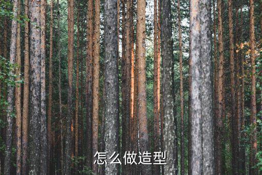 怎么做造型