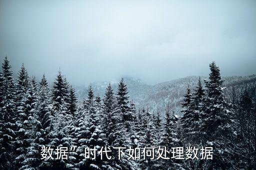 數(shù)據(jù)”時(shí)代下如何處理數(shù)據(jù)
