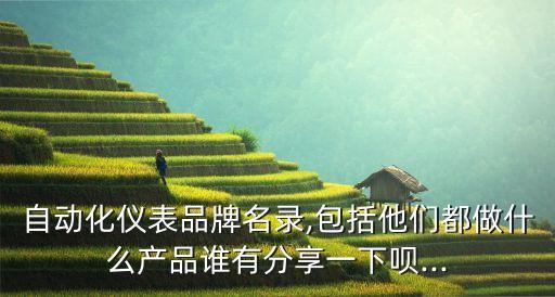 自動(dòng)化儀表品牌名錄,包括他們都做什么產(chǎn)品誰有分享一下唄...