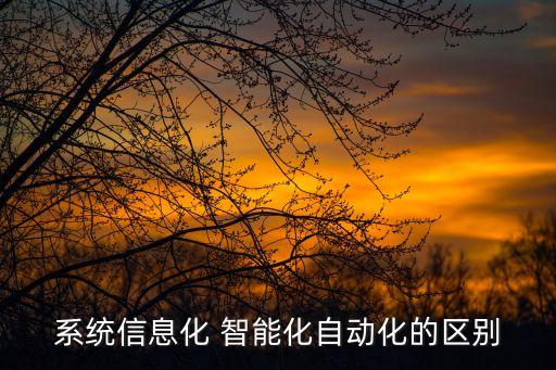 系統(tǒng)信息化 智能化自動化的區(qū)別