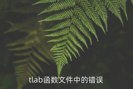 tlab函數(shù)文件中的錯(cuò)誤