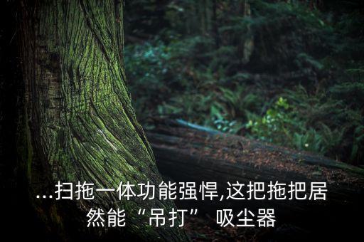 ...掃拖一體功能強(qiáng)悍,這把拖把居然能“吊打” 吸塵器