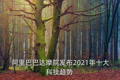 阿里分析的大數(shù)據(jù)