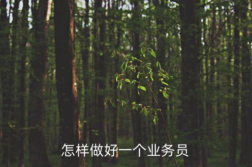 怎樣做好一個(gè)業(yè)務(wù)員