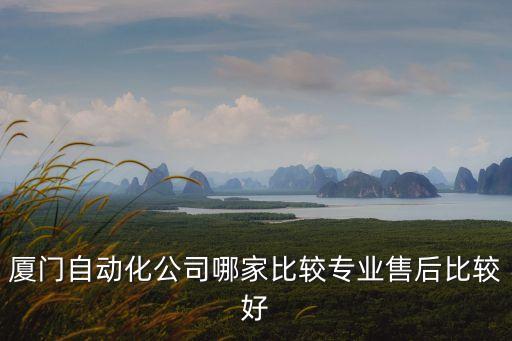 廈門自動化公司哪家比較專業(yè)售后比較好