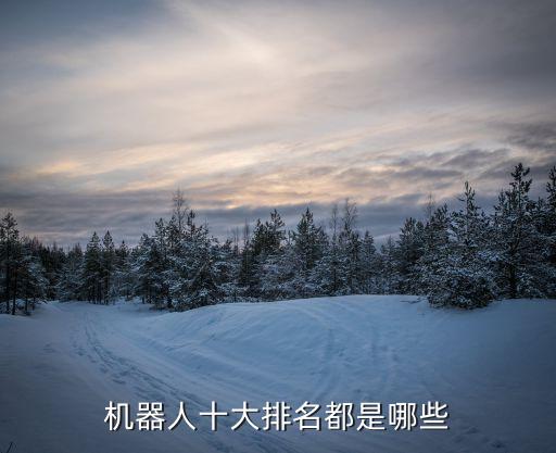 機(jī)器人十大排名都是哪些