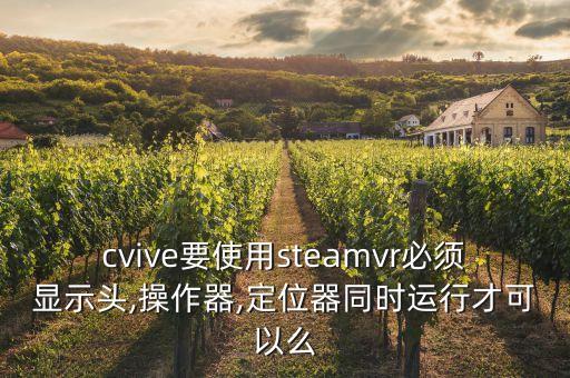 cvive要使用steamvr必須顯示頭,操作器,定位器同時運(yùn)行才可以么