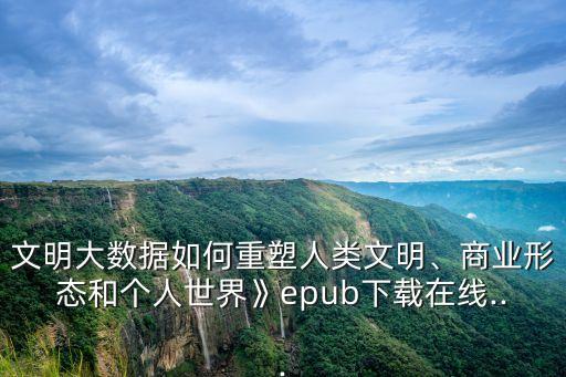 《大數(shù)據(jù)》徐子沛 微盤,大數(shù)據(jù)徐子沛百度網(wǎng)盤