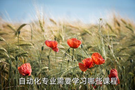  自動(dòng)化專(zhuān)業(yè)需要學(xué)習(xí)哪些課程