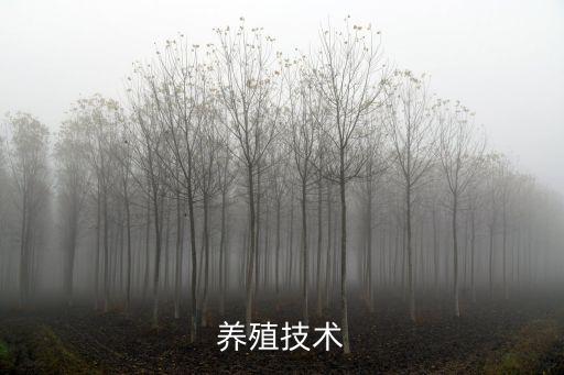 養(yǎng)殖技術(shù)