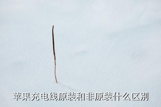 ios數(shù)據(jù)線區(qū)別,蘋果數(shù)據(jù)線和iphone有什么不同?