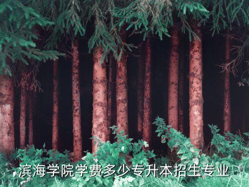 濱海大學(xué)自動化專業(yè),大學(xué)自動化學(xué)什么?