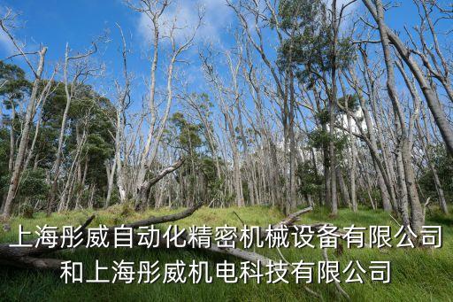 上海彤威自動(dòng)化精密機(jī)械設(shè)備有限公司和上海彤威機(jī)電科技有限公司