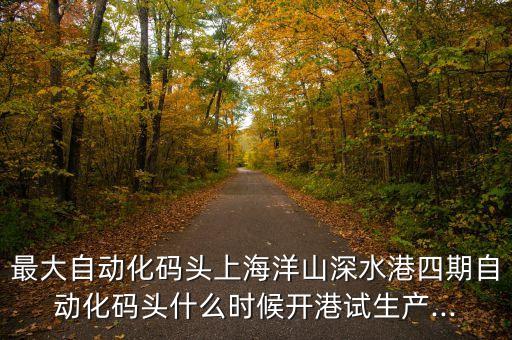 最大自動(dòng)化碼頭上海洋山深水港四期自動(dòng)化碼頭什么時(shí)候開港試生產(chǎn)...