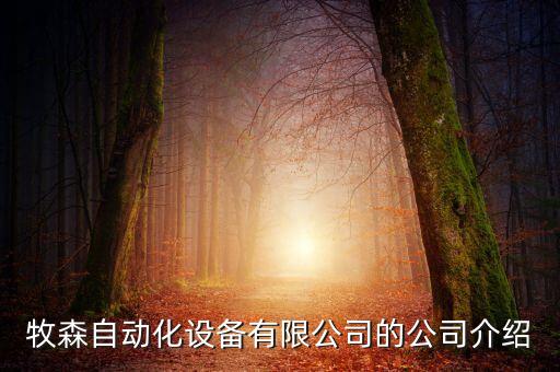 沖床自動化設(shè)備代理,氣動沖床自動化設(shè)備
