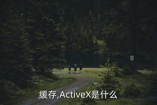 緩存,ActiveX是什么