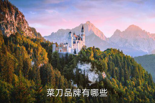 德國(guó)自動(dòng)化制刀設(shè)備廠家,振動(dòng)刀自動(dòng)化設(shè)備