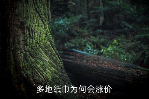 多地紙巾為何會漲價