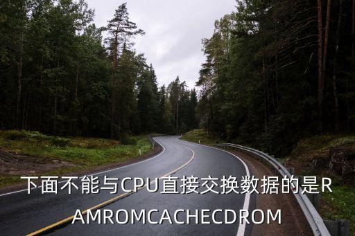 下面不能與CPU直接交換數(shù)據(jù)的是RAMROMCACHECDROM