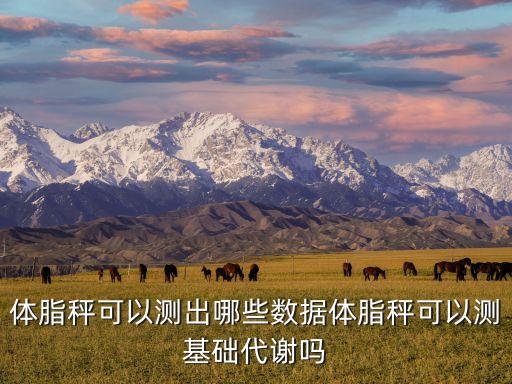 體脂秤可以測出哪些數(shù)據(jù)體脂秤可以測基礎(chǔ)代謝嗎