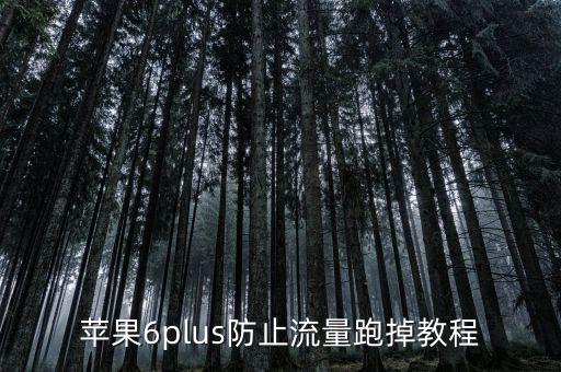蘋果6關(guān)閉蜂窩數(shù)據(jù)跑流量,蘋果6手機怎么打開數(shù)據(jù)流量?