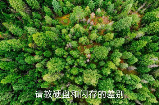 請教硬盤和閃存的差別
