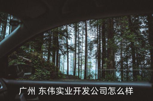 廣州 東偉實(shí)業(yè)開發(fā)公司怎么樣