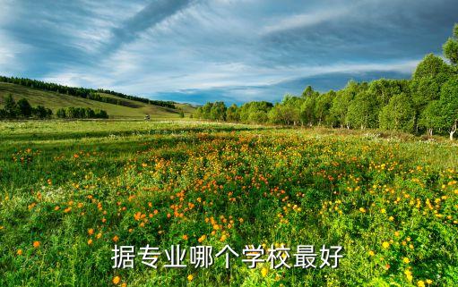大學(xué)校園大數(shù)據(jù),校園大數(shù)據(jù)系統(tǒng)