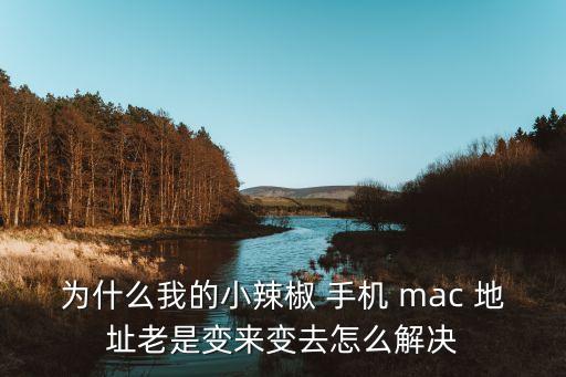 為什么我的小辣椒 手機(jī) mac 地址老是變來變?nèi)ピ趺唇鉀Q