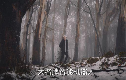 機器人前十強,順德十大機器人企業(yè)