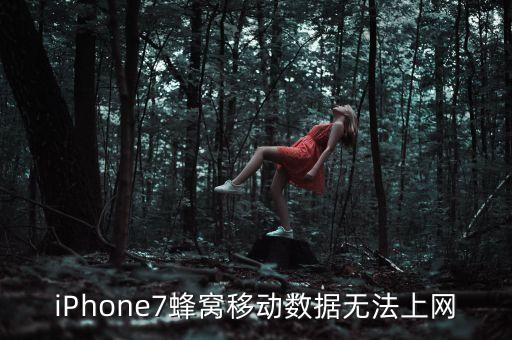 蘋果7數(shù)據(jù)連接不上去,蘋果7為什么連不上數(shù)據(jù)網(wǎng)絡(luò)?