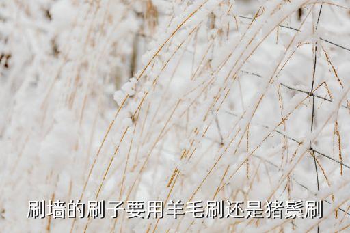 刷墻的刷子要用羊毛刷還是豬鬃刷