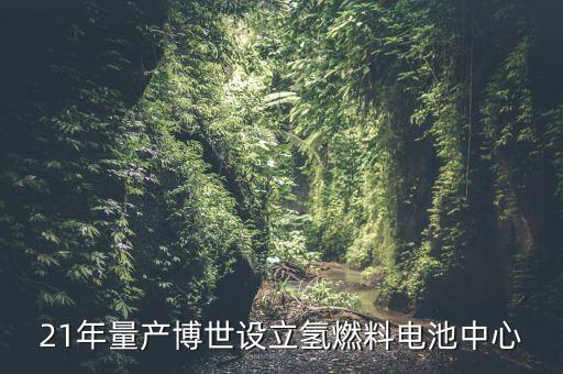 無錫博世,蘇州博世和無錫博世哪個好?