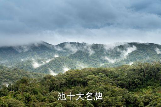 池十大名牌
