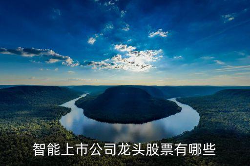 上市機(jī)器人研發(fā)公司,美國(guó)上市機(jī)器人公司