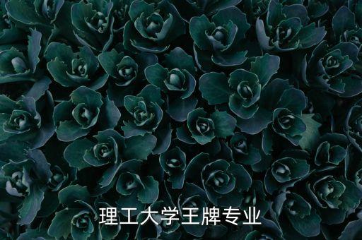 理工大學(xué)王牌專(zhuān)業(yè)
