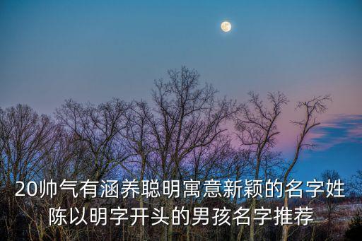 陳明秀,蘇東坡在惠州寫的一首著名的詩(shī)