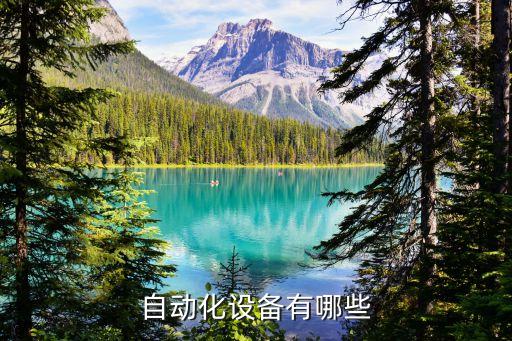 自動(dòng)化設(shè)備有哪些模塊,倉(cāng)庫(kù)自動(dòng)化設(shè)備有哪些?