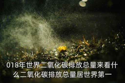 018年世界二氧化碳排放總量來看什么二氧化碳排放總量居世界第一