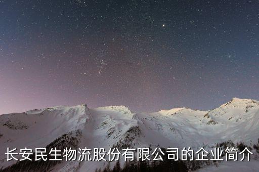 長安民生物流股份有限公司的企業(yè)簡介