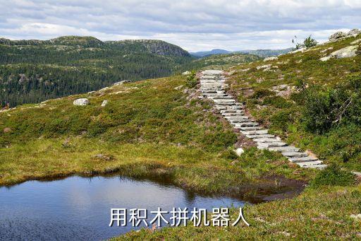 優(yōu)必選教育積木機(jī)器人,積木教育機(jī)器人普及大賽