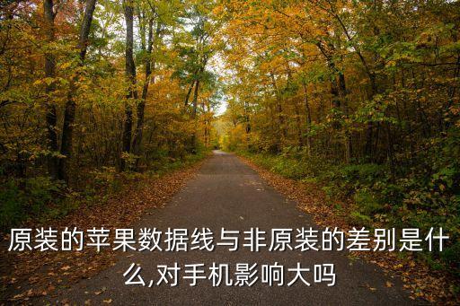 原裝的蘋果數(shù)據(jù)線與非原裝的差別是什么,對手機(jī)影響大嗎