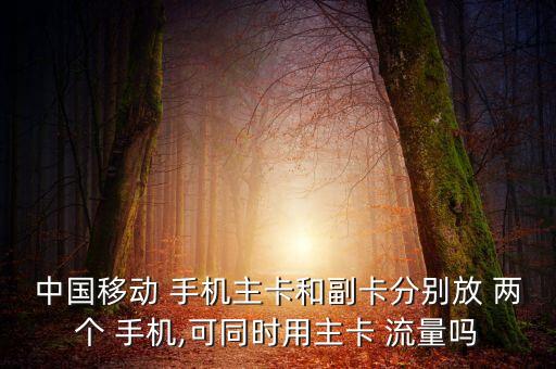 兩個手機流量數(shù)據(jù)流量怎么用,兩臺蘋果手機轉(zhuǎn)移數(shù)據(jù)需要流量嗎