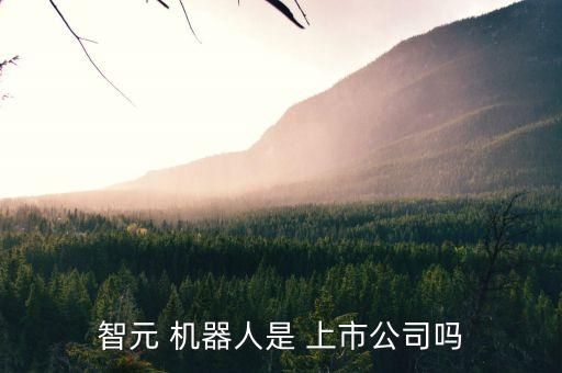 智元 機(jī)器人是 上市公司嗎