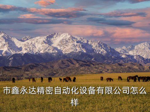 市鑫永達(dá)精密自動(dòng)化設(shè)備有限公司怎么樣