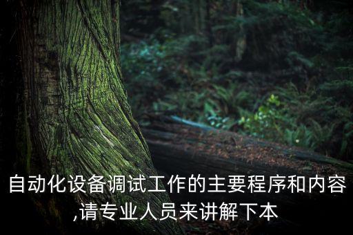 自動化設(shè)備調(diào)試工作的主要程序和內(nèi)容,請專業(yè)人員來講解下本