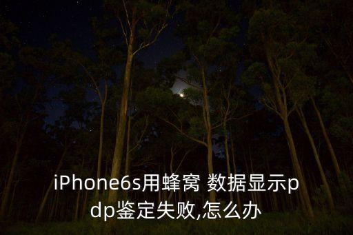 iPhone6s用蜂窩 數(shù)據(jù)顯示pdp鑒定失敗,怎么辦