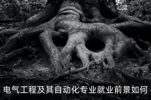 電氣工程及其自動化專業(yè)就業(yè)前景如何